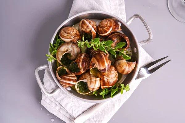 Νόστιμο μαγειρεμένο σαλιγκάρια escargo θάλασσα σε ένα τηγάνι σε ένα γκρι τραπέζι — Φωτογραφία Αρχείου