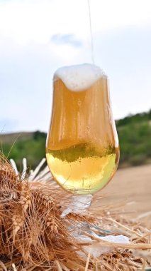 - Bira. Su damlalarıyla dolu bir bardakta soğuk bira..