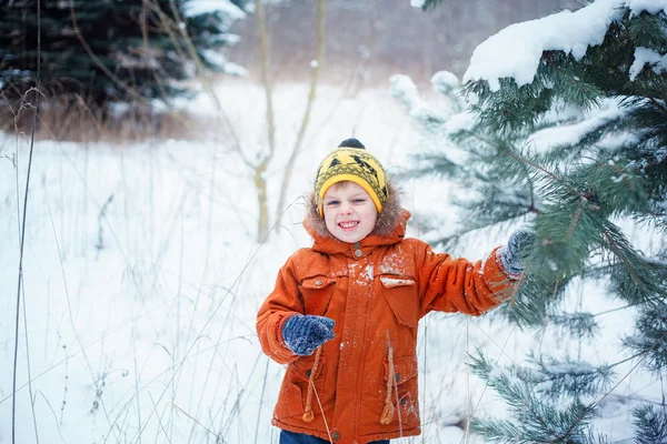 Ładny mały chłopiec bawi się śniegu w zimie lasu. — Zdjęcie stockowe