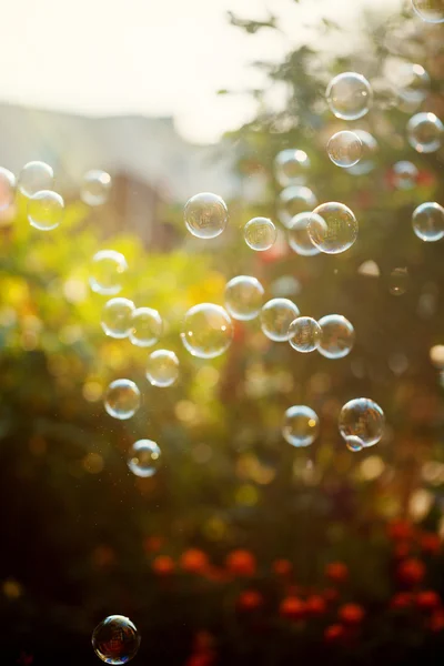 The rainbow bubbles from the bubble blower in sunlight. Bubbles  background