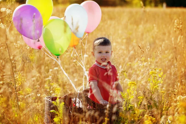 Dolce bambino ritratto in un cesto con palloncini colorati in y — Foto Stock