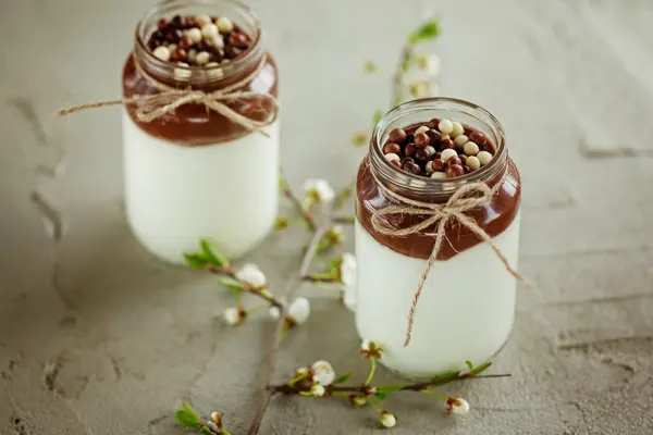 Kieliszek domowej roboty jogurt z MUS czekoladowy i czekolada c — Zdjęcie stockowe