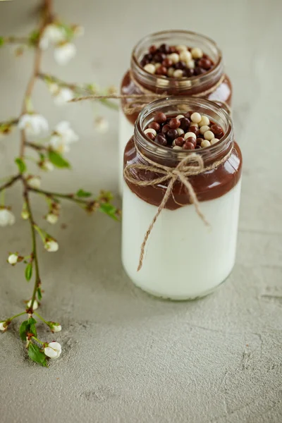 Jogurt domowej roboty MUS czekoladowy i cukierki czekoladowe kropla — Zdjęcie stockowe