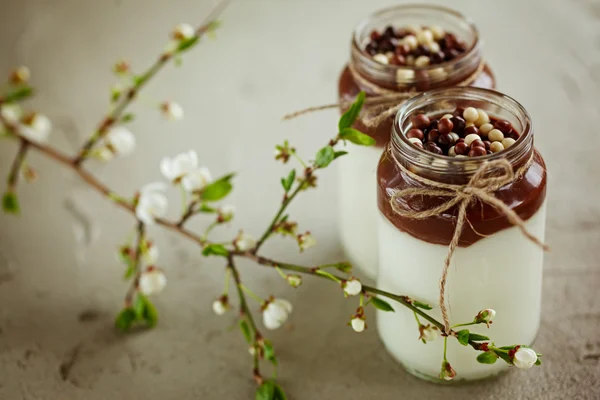 Jogurt domowej roboty MUS czekoladowy i cukierki czekoladowe kropla — Zdjęcie stockowe