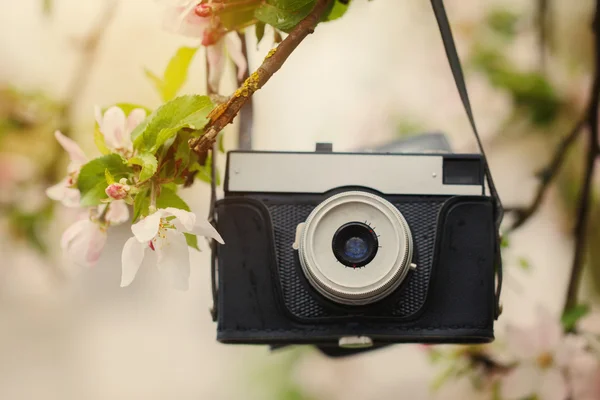 古いレトロなカメラは晴れた春の日にアップル ツリーにハングアップします。 — ストック写真
