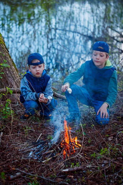 Két testvér pörkölésére marshmallows tábortűz — Stock Fotó