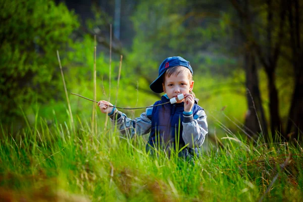 Cute boy  holding stick and  ready for eating roasted marshmallo — Stock Photo, Image