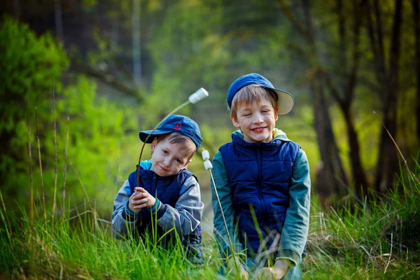 Dua anak laki-laki memegang tongkat dan siap untuk makan marshmallow panggang — Stok Foto