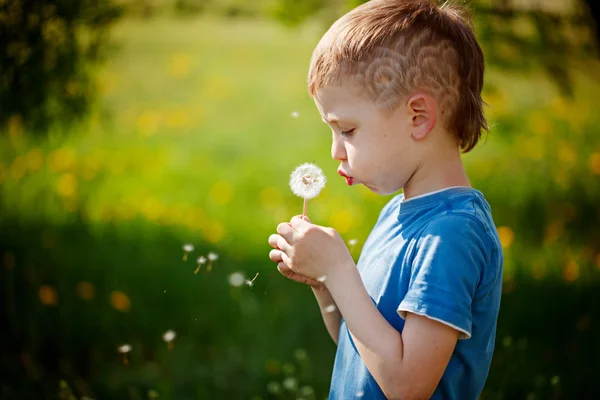 Aranyos kisfiú fúj pitypang tavaszi kertben. Tavasz — Stock Fotó
