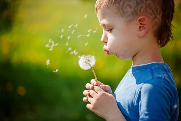 Cute little boy blowing dandelion in spring garden. Springtime — Stock Photo, Image