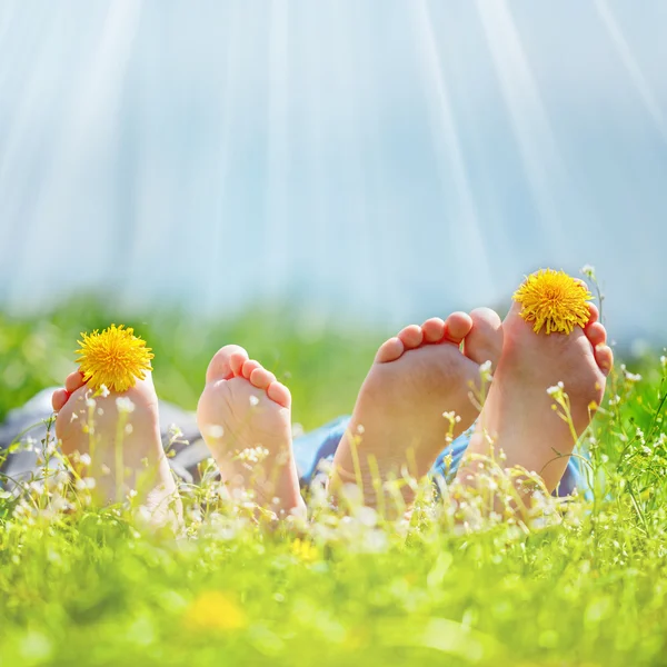 Familie met paardebloem bloemen liggend op groen gras in zonnige dag — Stockfoto