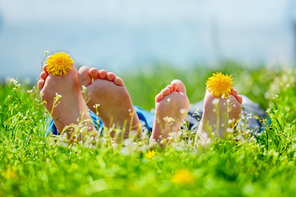 Familie met paardebloem bloemen liggend op groen gras in zonnige dag — Stockfoto