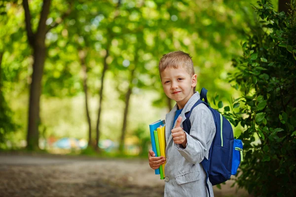 Cute little kid boy with books and backpack  on green nature bac — Stock Photo, Image