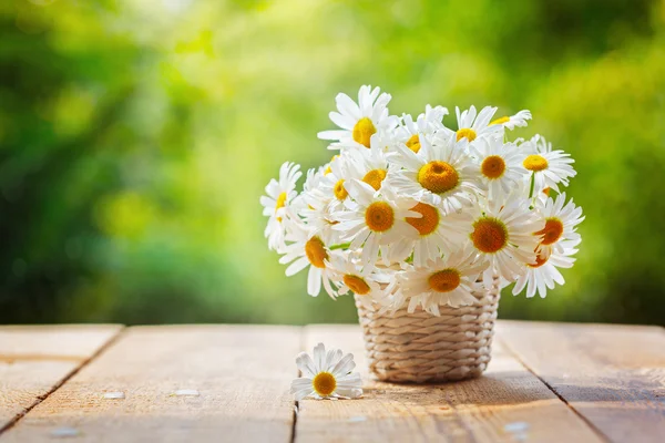 Bouquet de fleurs de camomille sur table en bois dans la nature vert backgr — Photo