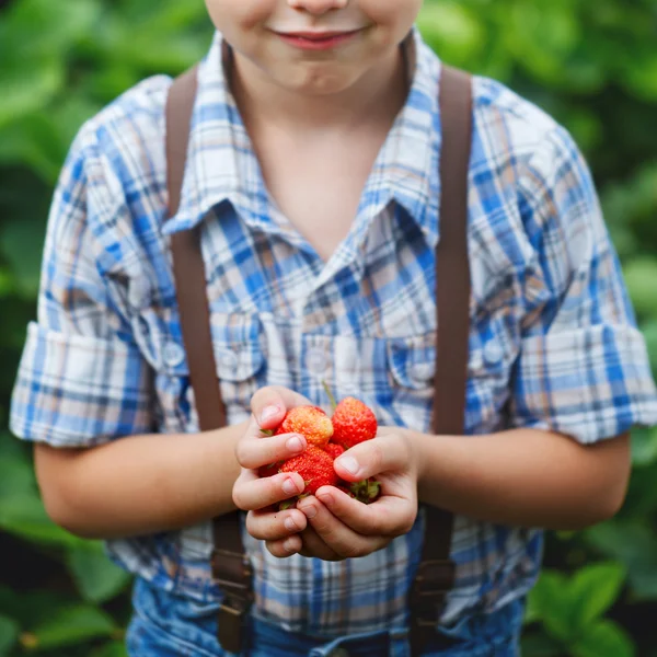 Руки ребенка держат свежую клубнику . — стоковое фото