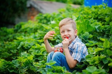 Sevimli küçük çocuk olgun taze stra kova ile yaz bahçesinde