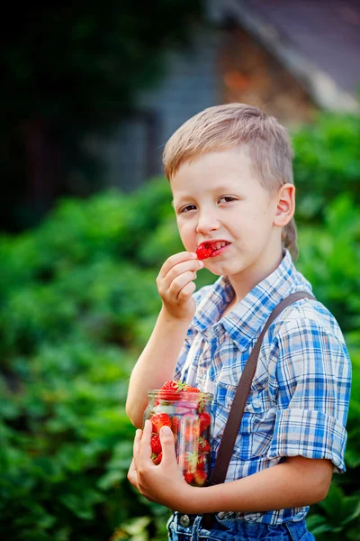 Милый маленький мальчик ест спелую свежую клубнику в летнем саду . — стоковое фото