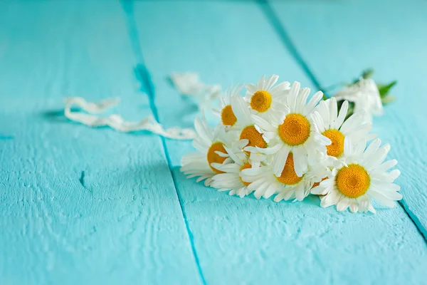 Crema cosmetica con fiore di camomilla per un corpo e una faccia su tavolo di legno azzurro — Foto Stock