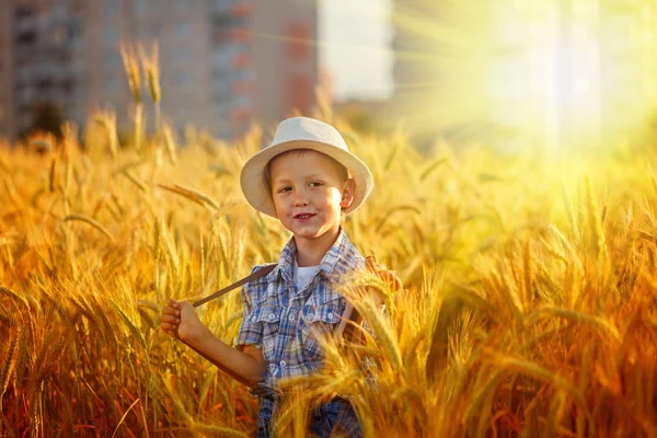 Счастливый маленький мальчик ходит по пшеничному летнему полю. Концепция сбора урожая — стоковое фото