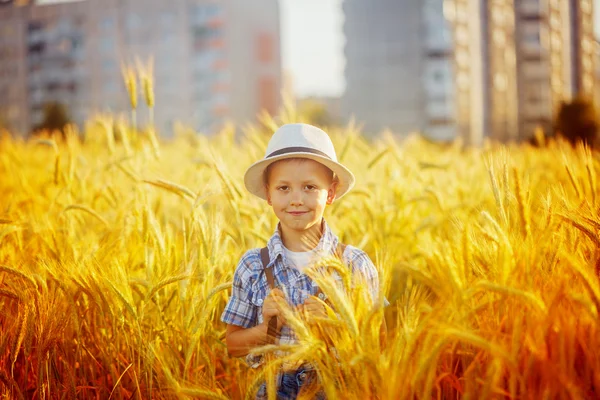 Happy little boy walking on wheat summer field. Harvest concept — Stock Photo, Image