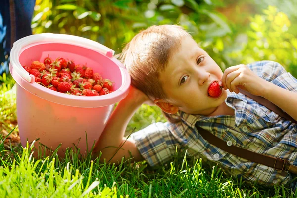 Дети едят клубнику в летний день. Ребенок с полной корзиной фруктов — стоковое фото