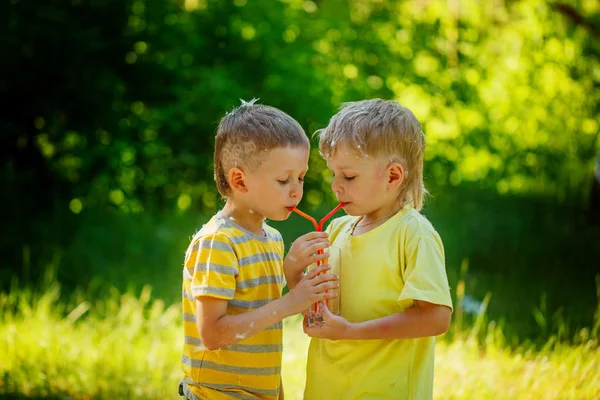 Duas lindas crianças, meninos amigos, água potável no parque — Fotografia de Stock