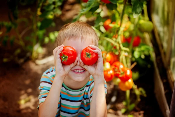 Портрет улыбающийся мальчик с красными спелыми помидорами перед глазами i — стоковое фото