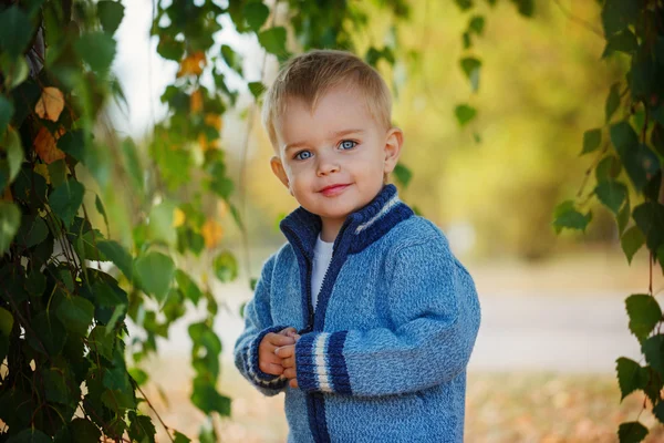 Portrait lovely little boy in a knitted sweater is playing  behi — Stock Photo, Image