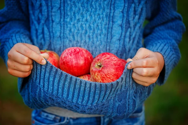 Закрыть красное яблоко в руках детей в осенний день — стоковое фото