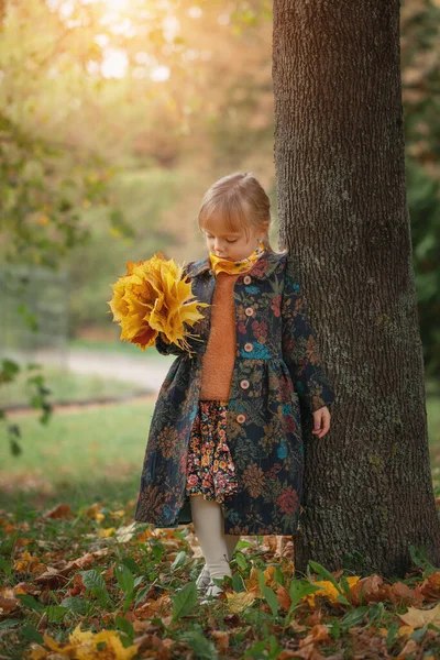 Милая Маленькая Девочка Стоит Букетом Кленовых Желтых Листьев Осеннем Парке — стоковое фото