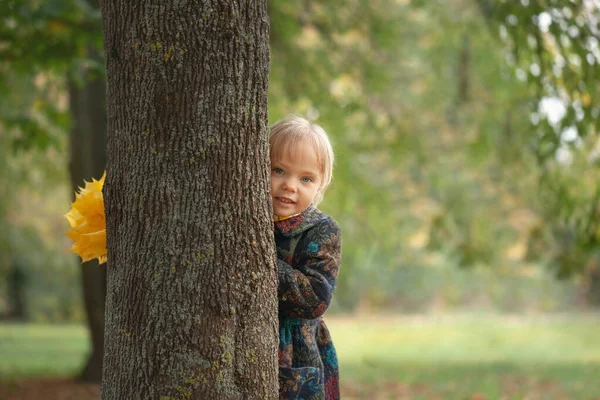 Ładna Dziewczynka Stoi Bukietem Klonowych Żółtych Liści Jesiennym Parku Patrzą — Zdjęcie stockowe