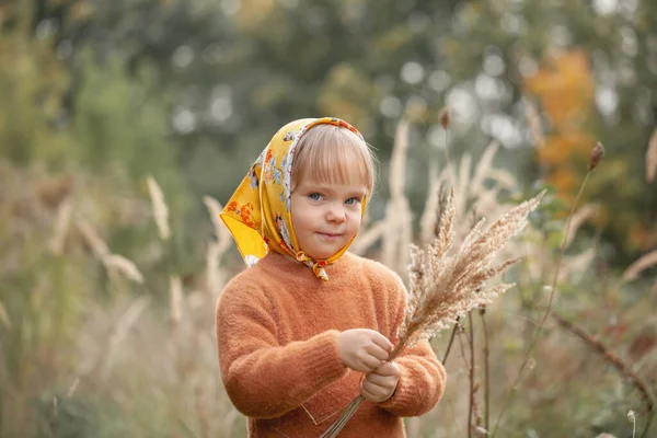 Autumn Portrait Beautiful Little Smiling Girl Yellow Shawl Tall Grass — Stock Photo, Image