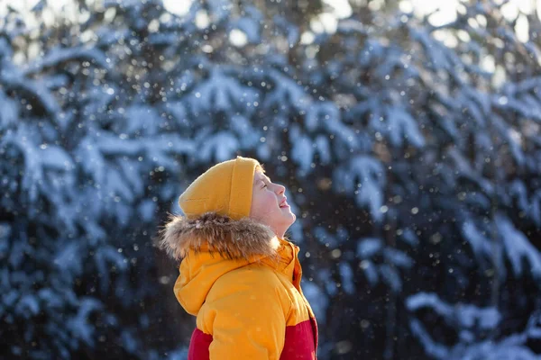 一个穿着黄色冬衣的可爱小男孩的画像 他在冬天的雪天捕到了雪花嘴 落雪中的孩子 — 图库照片