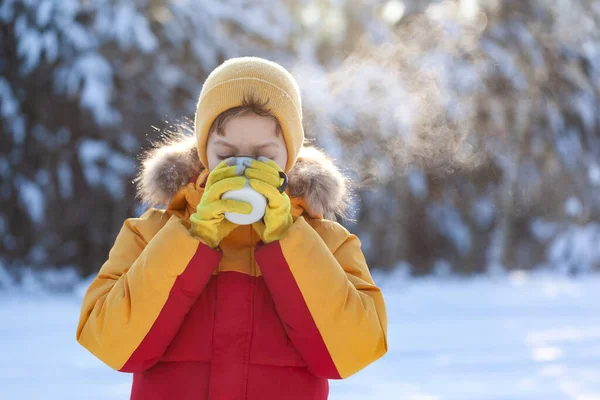 Παιδί Πίνει Ζεστή Σοκολάτα Κακάο Στο Χιονισμένο Χειμερινό Πάρκο Χαριτωμένο — Φωτογραφία Αρχείου