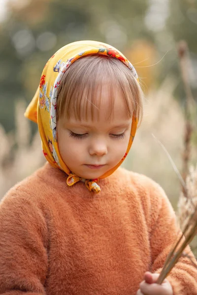 Симпатична Красива Дівчинка Жовтому Шарфі Осінньому Парку Високою Сухою Травою — стокове фото