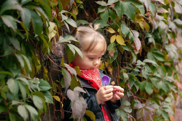 Милая Блондинка Черной Кожаной Куртке Собирает Осенние Листья Парке Осенью — стоковое фото