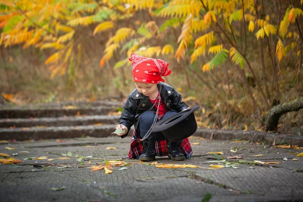 Симпатичная Девочка Черной Куртке Собирает Осенние Листья Шляпе Девочка Лет — стоковое фото