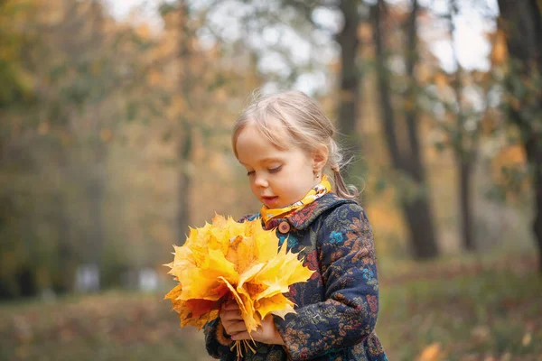 Retrato Uma Menina Segurando Sua Mão Buquê Folhas Bordo Amarelo — Fotografia de Stock