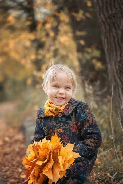 Ritratto Bambina Sorridente Felice Che Tiene Mano Mazzo Foglie Acero — Foto Stock