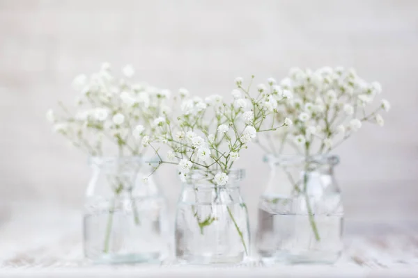 White Delicate Baby Breath Flowers Gypsophila Glass Vases Light Background — Stock Photo, Image