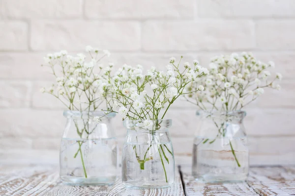 White Delicate Baby Breath Flowers Gypsophila Glass Vases Light Background — Stock Photo, Image