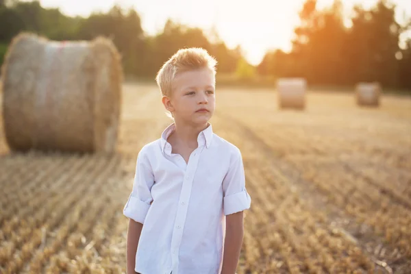 Portrait of a child  in the sunny day in a field — Stock Photo, Image