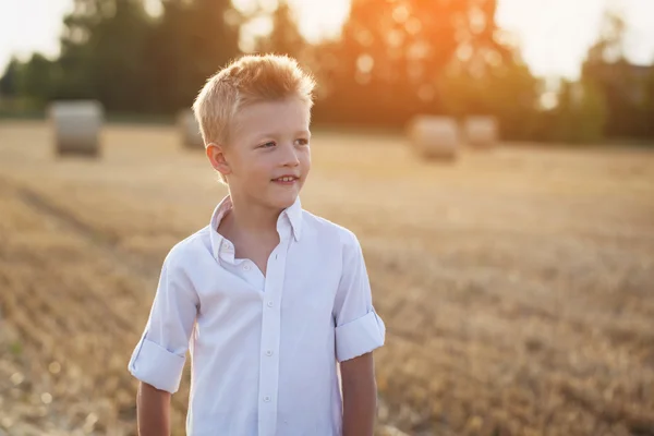 Portrait of a happy child  in the sunny day in a field — Stock Photo, Image