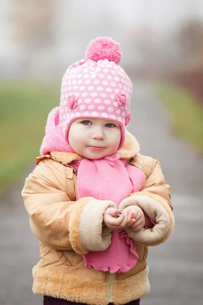 Retrato Linda niña de 2 años en otoño —  Fotos de Stock