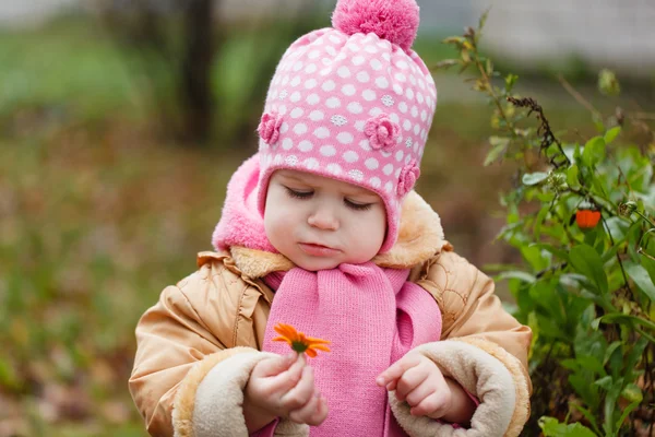 La niña con un sombrero rosa y una bufanda mira una flor de otoño — Foto de Stock