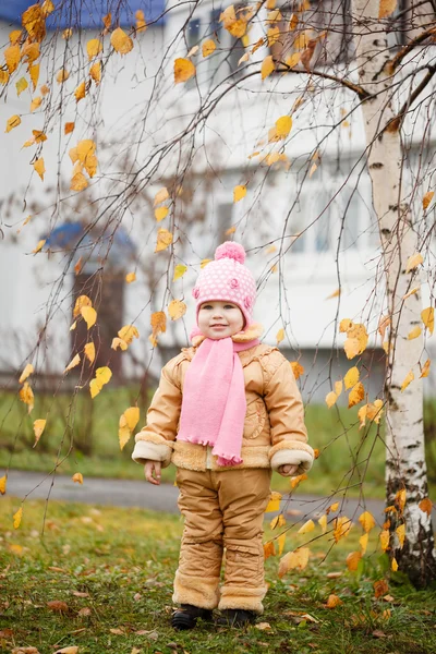 Söpö hymyilevä pieni 2-vuotias tyttö syksyllä puistossa aurinkoisena päivänä — kuvapankkivalokuva