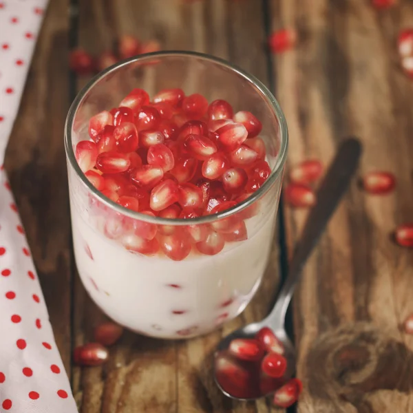 Jelly gelatin krim dessert atau panna cotta dengan biji delima — Stok Foto