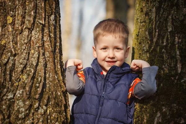 Little boy stands among the trees — Stock Photo, Image