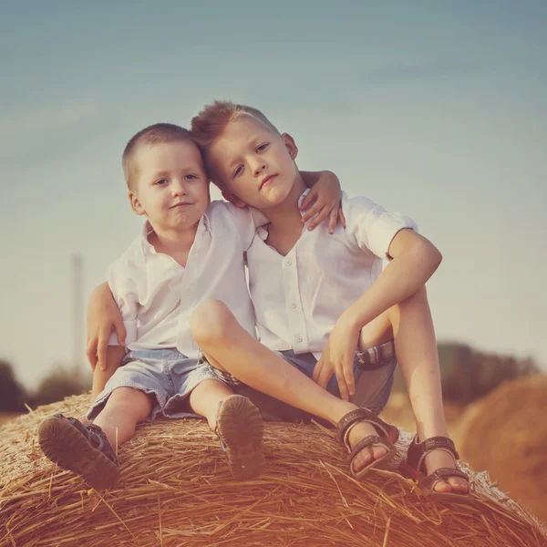 Двоє маленьких братів сидять на стовбурі сіна в пшеничному полі в теплі — стокове фото