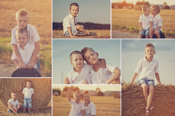 Kolaj bir defada iki sevimli beyaz erkek resimleri